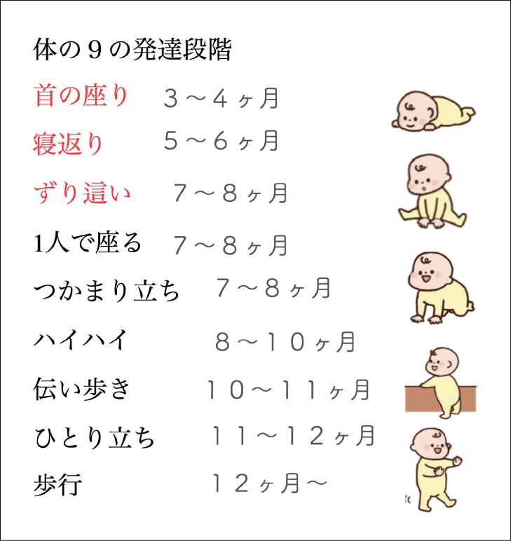 体の9の発達段階表