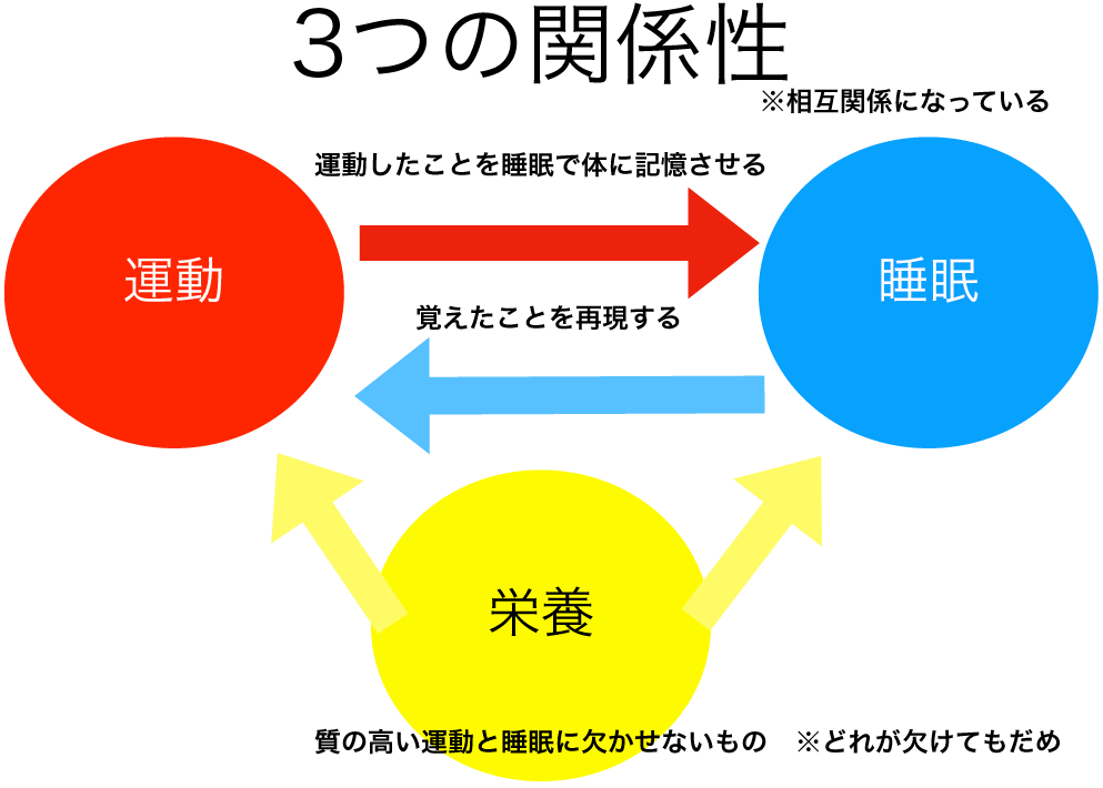 3つの関係性イメージ